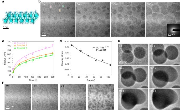 院士领衔！南京大学，最新Nature Materials！