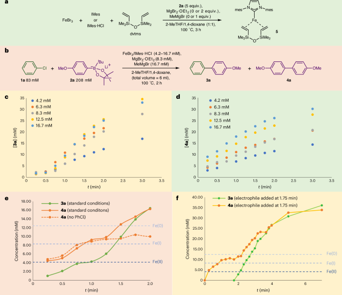 铁基催化，登顶Nature Catalysis！