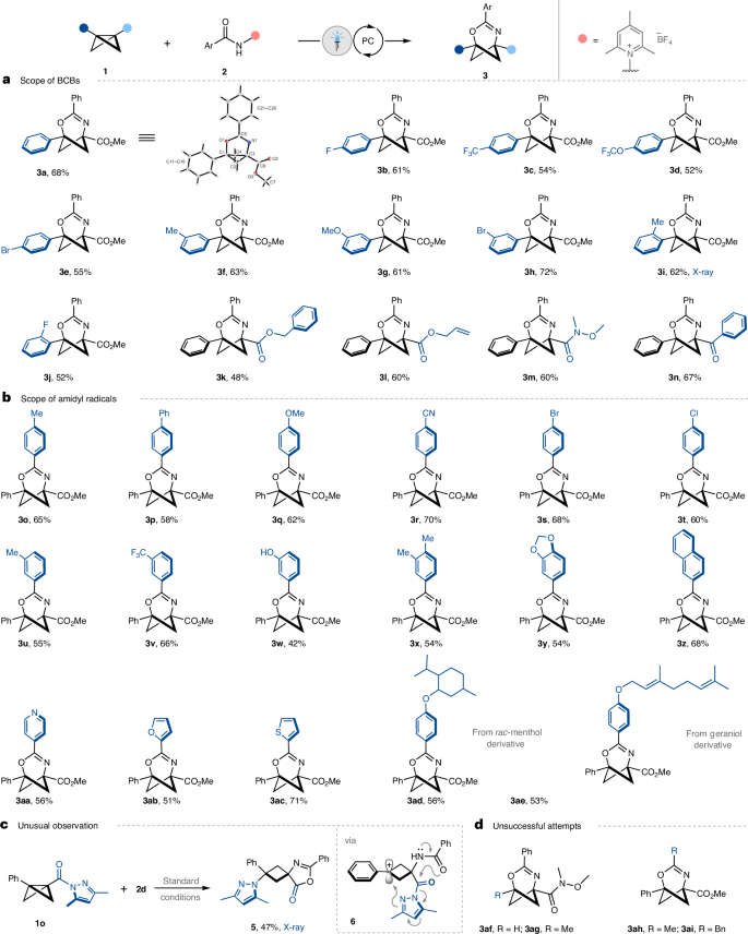 大牛Glorius院士，最新Nature Catalysis！