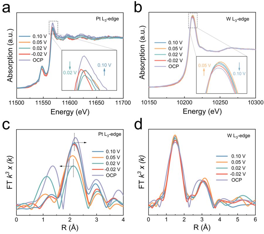 黑龙江大学，最新JACS！