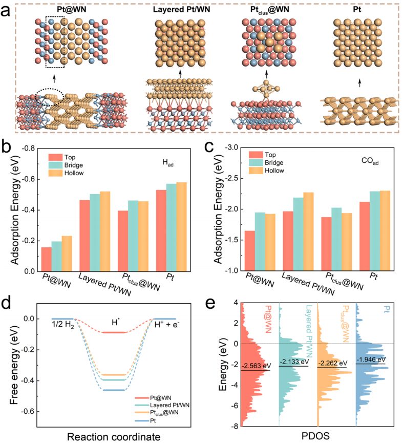 黑龙江大学，最新JACS！