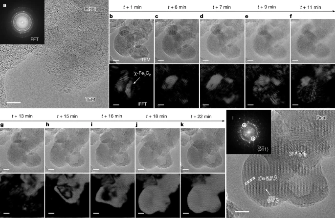 国家能源集团，最新Nature！