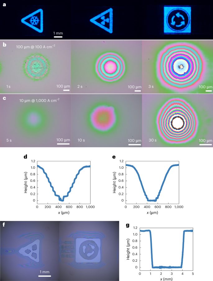 IF=32.3！南科大/香港科技大学，Nature Photonics！