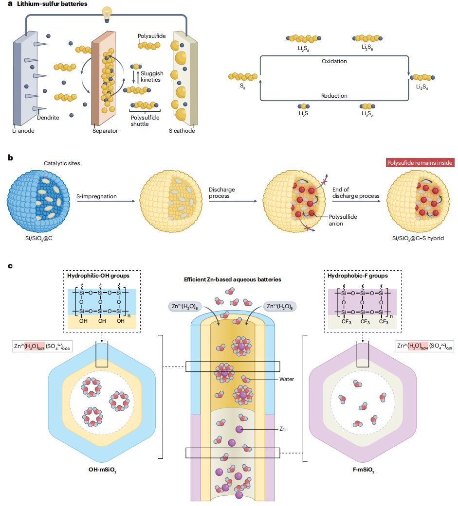 打破校史！“筑巢引凤”，这所双一流大学，迎来首篇Nature Reviews Chemistry封面文章！