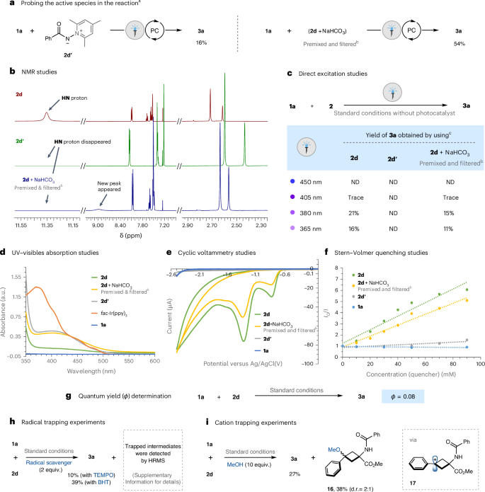 Glorius院士，最新Nature Catalysis！