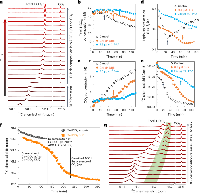 院士领衔！南京大学，最新Nature Materials！