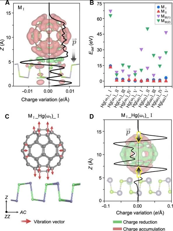 武汉大学，新发Science Advances！