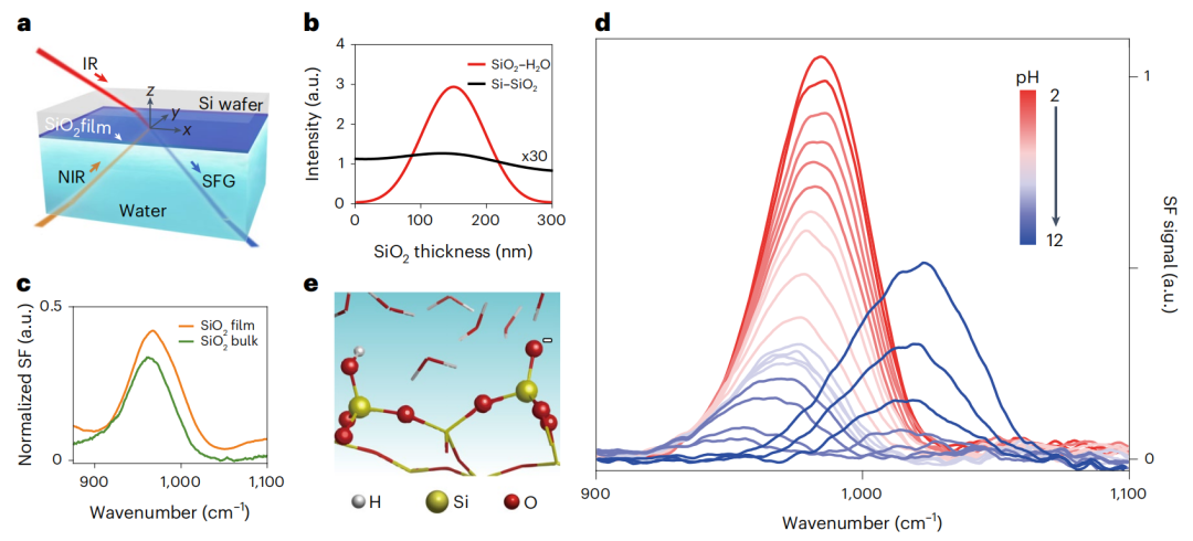 她，「国家优青」，博士毕业三年任985教授，联手院士导师，新发Nature Chemistry！