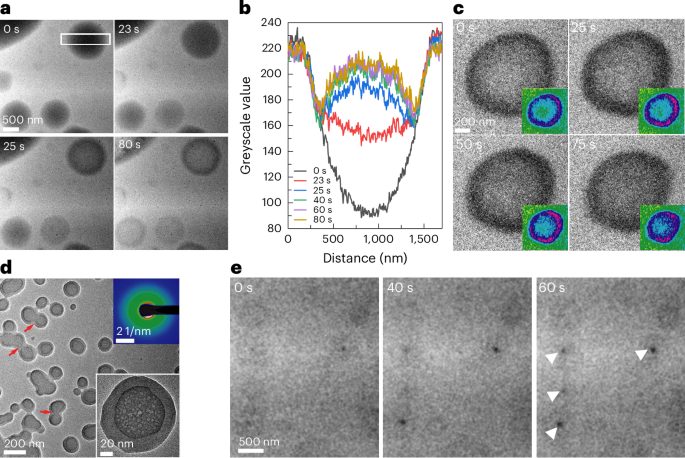 院士领衔！南京大学，最新Nature Materials！