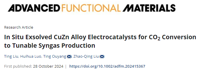 广州大学，最新AFM！