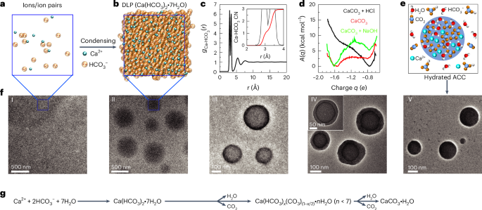 院士领衔！南京大学，最新Nature Materials！