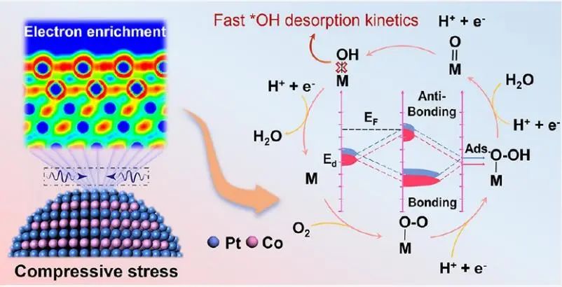 牛！施剑林院士/崔香枝研究员，连发Chem和JACS！