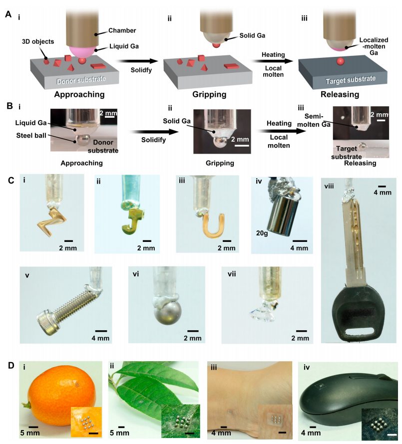 第一作者宁波大学副研究员！浙大「国家杰青」团队，最新Nature子刊！