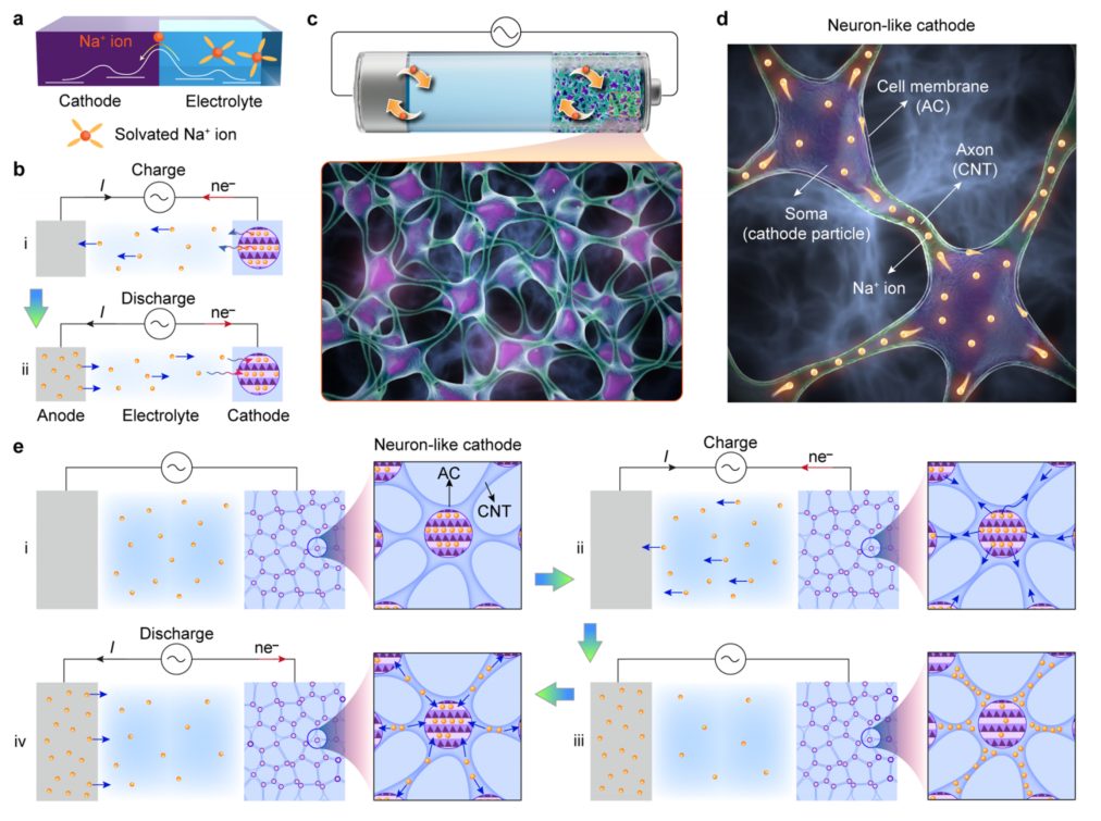 200C，-60℃！打破传统！南开大学陈军院士，最新JACS！