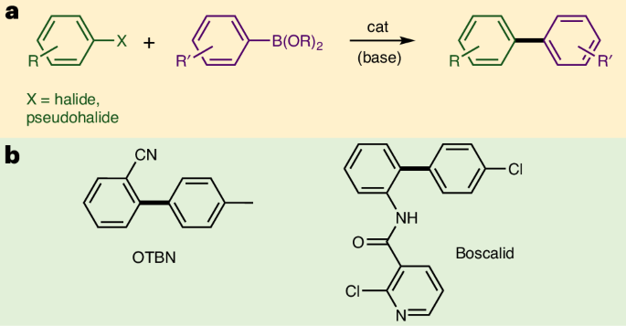 铁基催化，登顶Nature Catalysis！