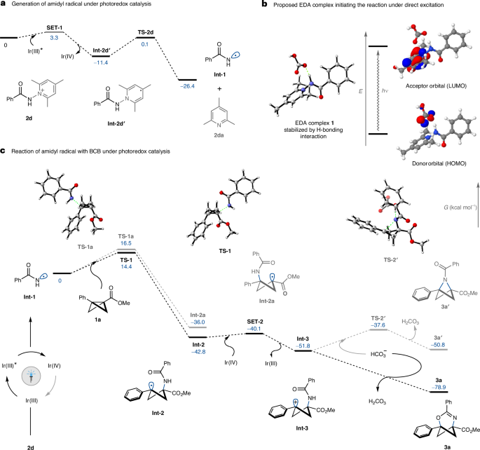 大牛Glorius院士，最新Nature Catalysis！