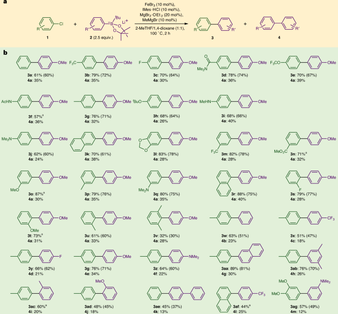 铁基催化，登顶Nature Catalysis！