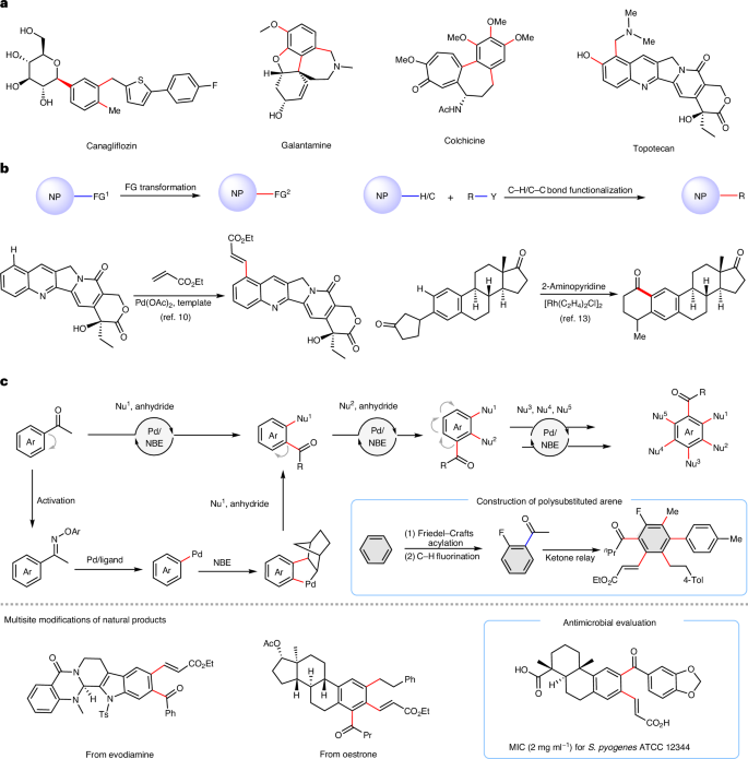 上海药物所/杭高院，新发Nature Synthesis！！