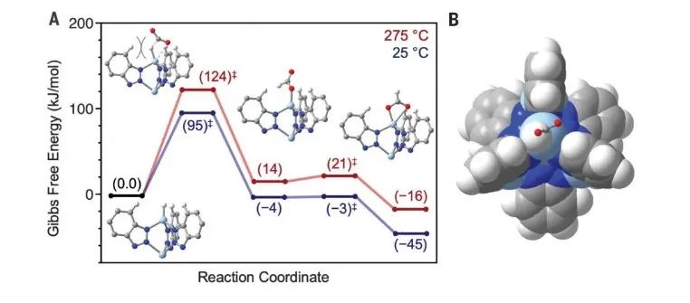 MOFs，登顶Science！