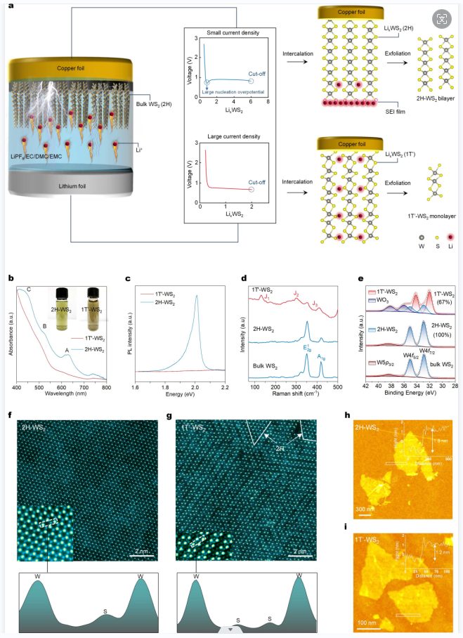 香港城市大学曾志远教授等Nature Synthesis：可溶液处理的 WS2 单层或双层的相态可切换合成