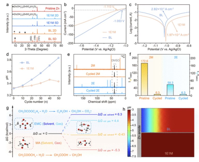 【MS发顶刊】东北师大，JACS！分子协同效应介导高效界面化学实现无枝晶锌阳极！