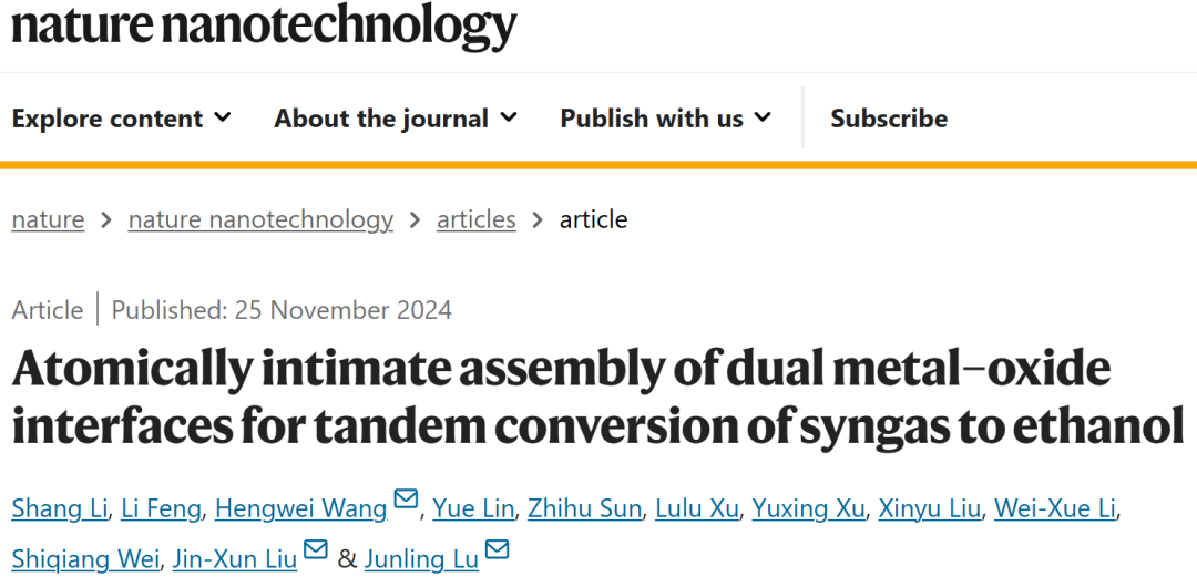 双界面催化剂！他，「国家杰青」，回国即C9教授，联手「国家优青」，新发Nature Nanotechnology！