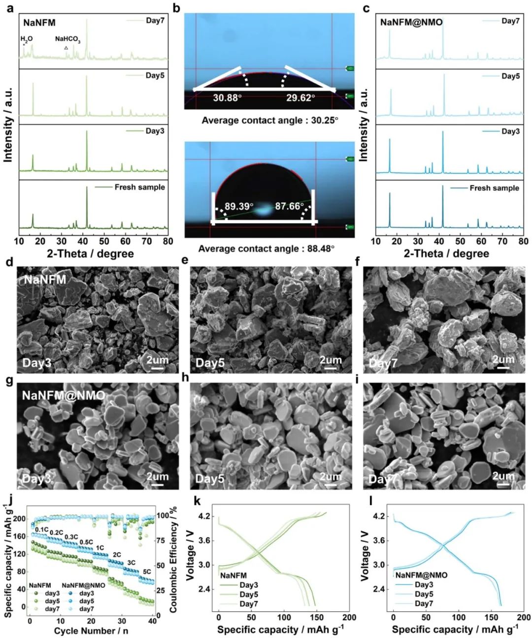 硕士生一作！温大侴术雷教授团队，最新JACS！