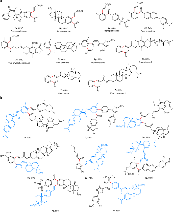 上海药物所/杭高院，新发Nature Synthesis！！