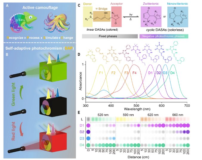 首提！材料自适应光致变色！电子科大，最新Science子刊！