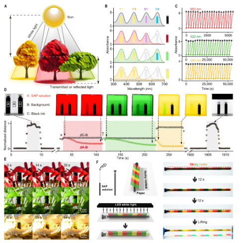 首提！材料自适应光致变色！电子科大，最新Science子刊！