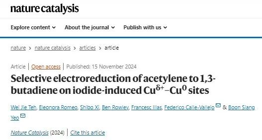 电催化，Nature Catalysis！