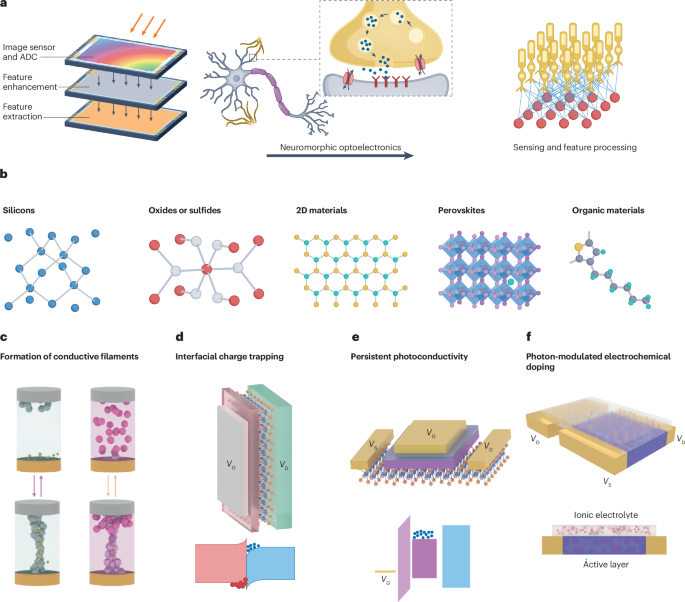 IF=79.8！香港科技大学，新发Nature Reviews Materials！