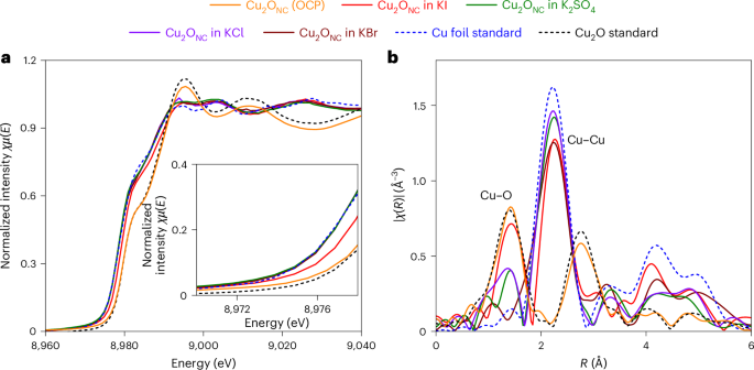 电催化，Nature Catalysis！