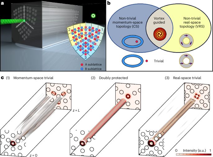 IF=32.3！南开大学，Nature Photonics！