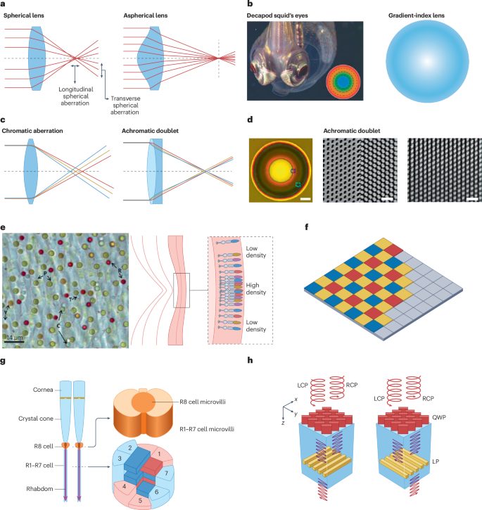 IF=79.8！香港科技大学，新发Nature Reviews Materials！