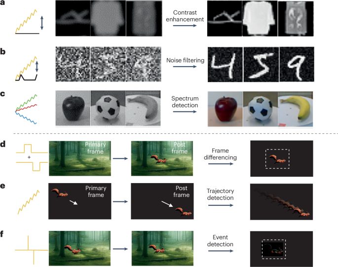 IF=79.8！香港科技大学，新发Nature Reviews Materials！