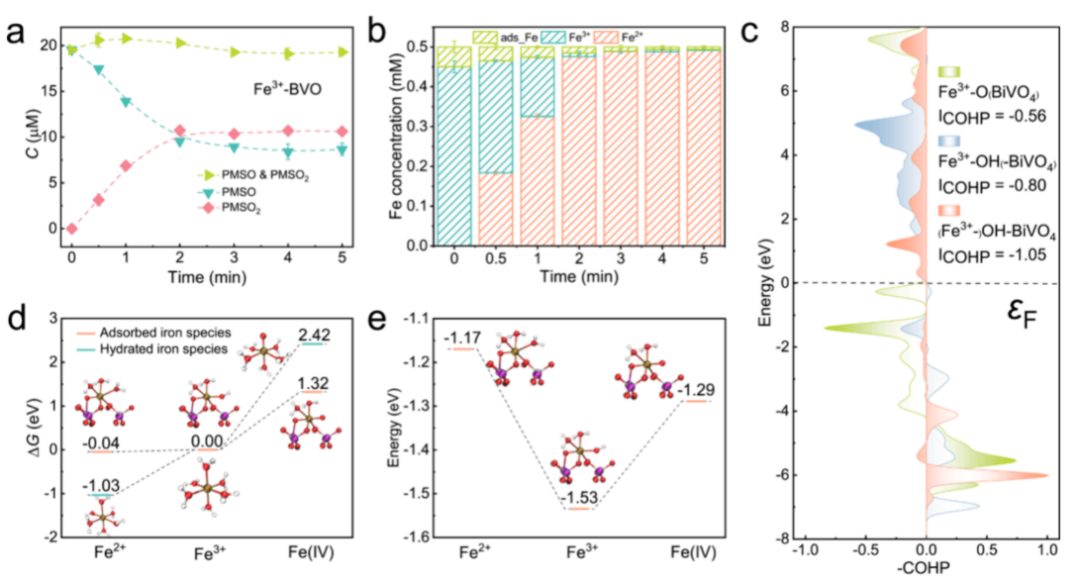 684倍！河海&港城大，最新JACS！