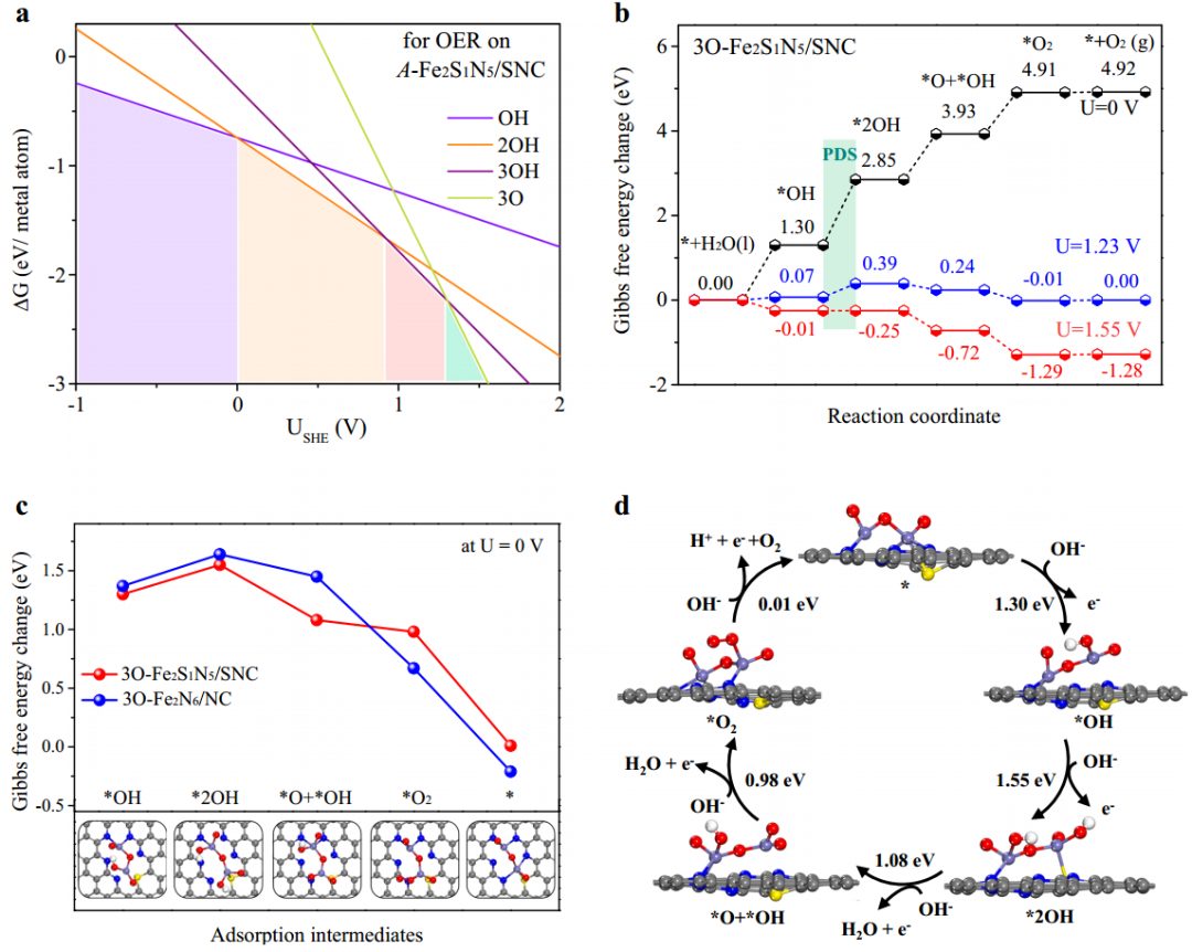 2000h！>97%！郑州大学，新发Nature子刊！