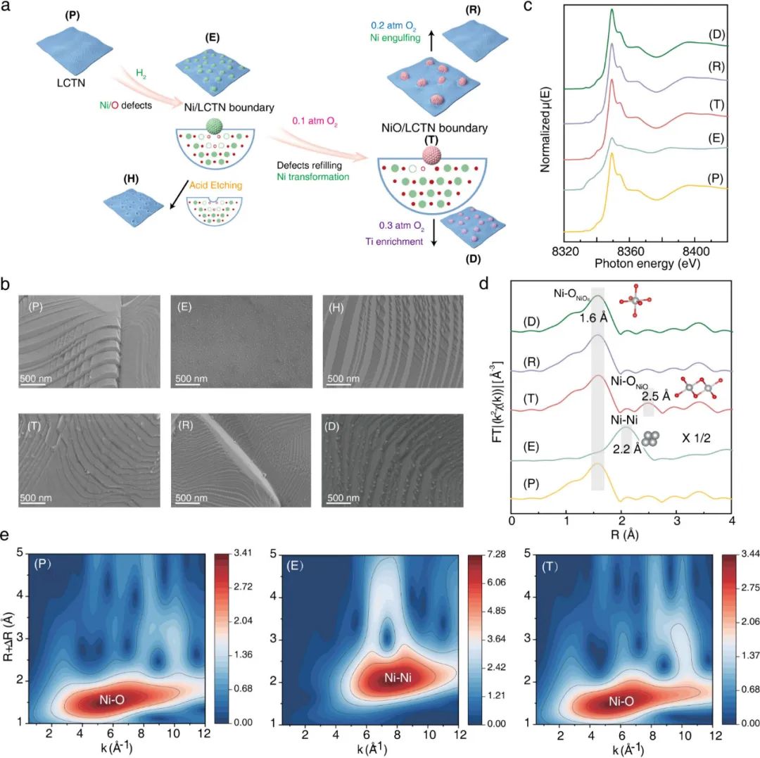 每秒70500次！中山大学&厦门大学，新发JACS！