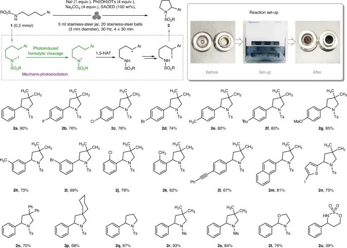 无溶剂、高效光化学转化！西工大，最新Nature synthesis！