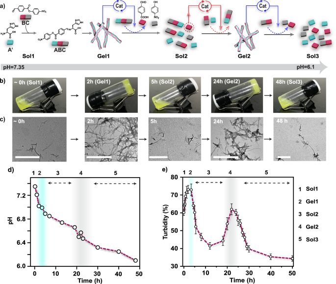 自组装！这个团队，连发Nature综述、JACS，最新成果又登Nature子刊！