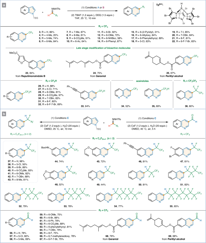 牛！他，211「长江学者/国家优青/洪堡学者」,发完Nat. Chem./Angew，再发Nature子刊！