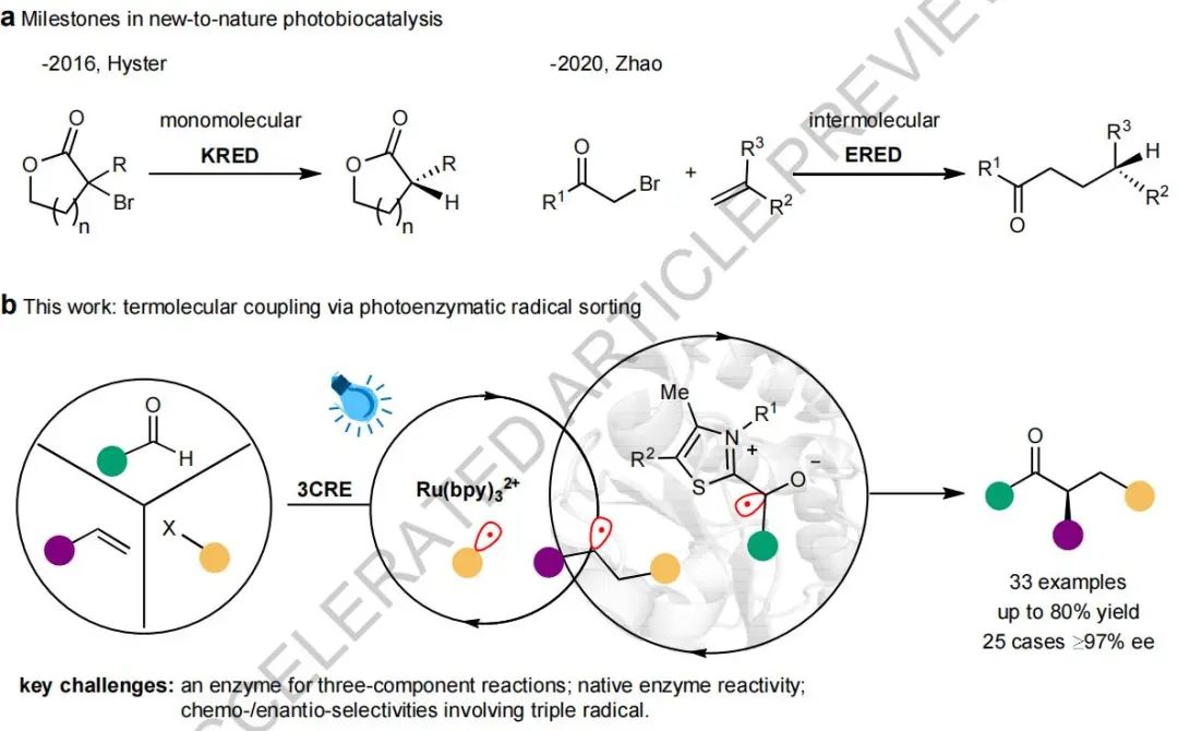 牛！南京大学，重磅Nature！迎来今年第6篇Nature/Science正刊！