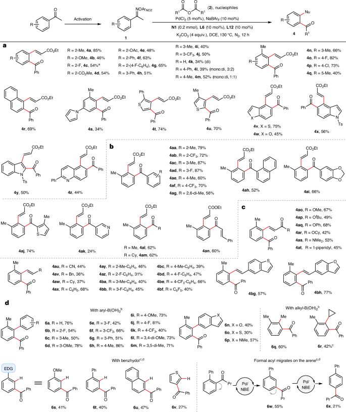 上海药物所/杭高院，新发Nature Synthesis！！