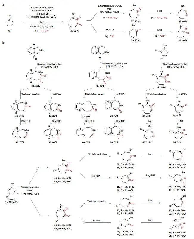 他，留学MIT/耶鲁，博毕5年任211教授/「国家高层次青年人才」，新发Nature Chemistry！