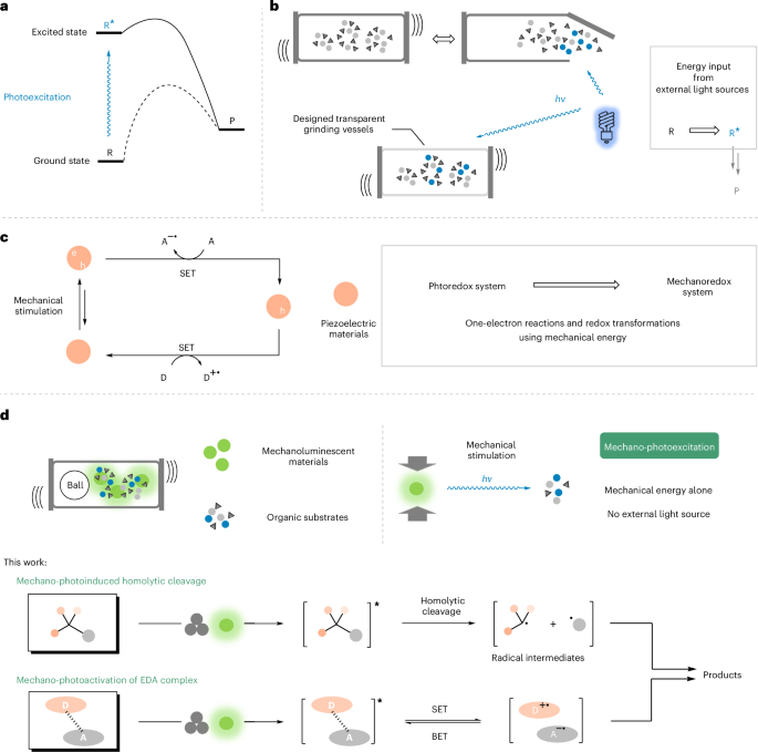 第一单位！西北大学，新发Nature Synthesis！！