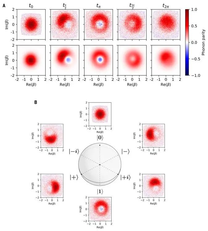 标题三个词，一篇Science！