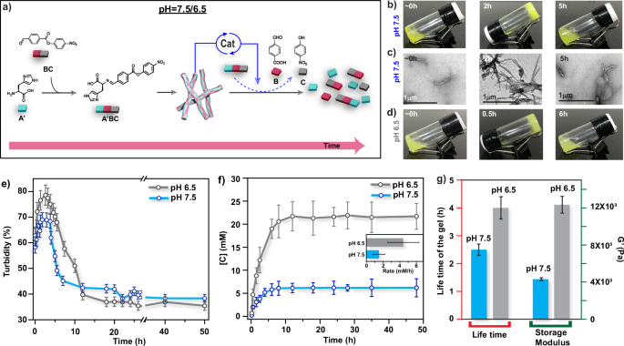 自组装！这个团队，连发Nature综述、JACS，最新成果又登Nature子刊！