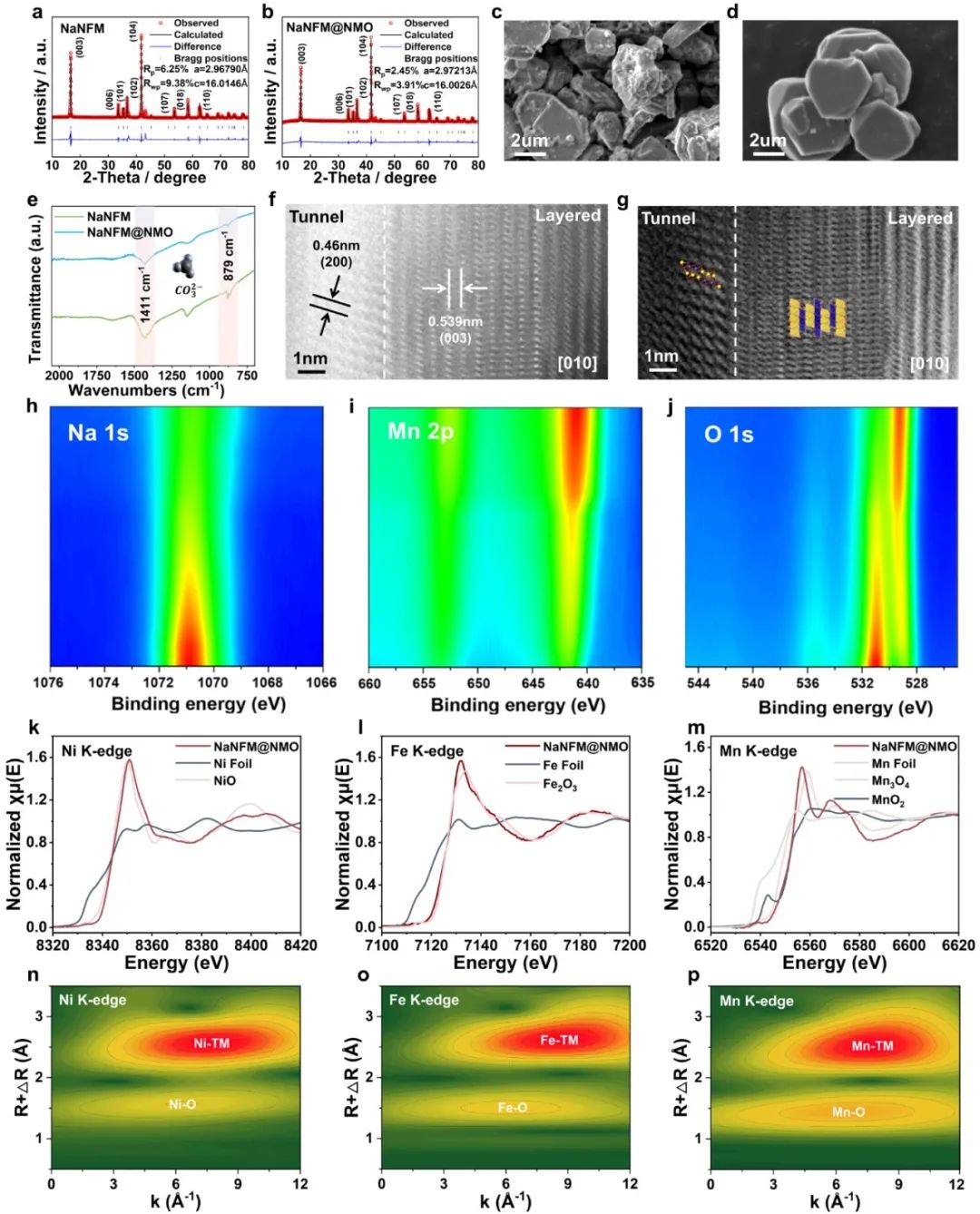 硕士生一作！温大侴术雷教授团队，最新JACS！