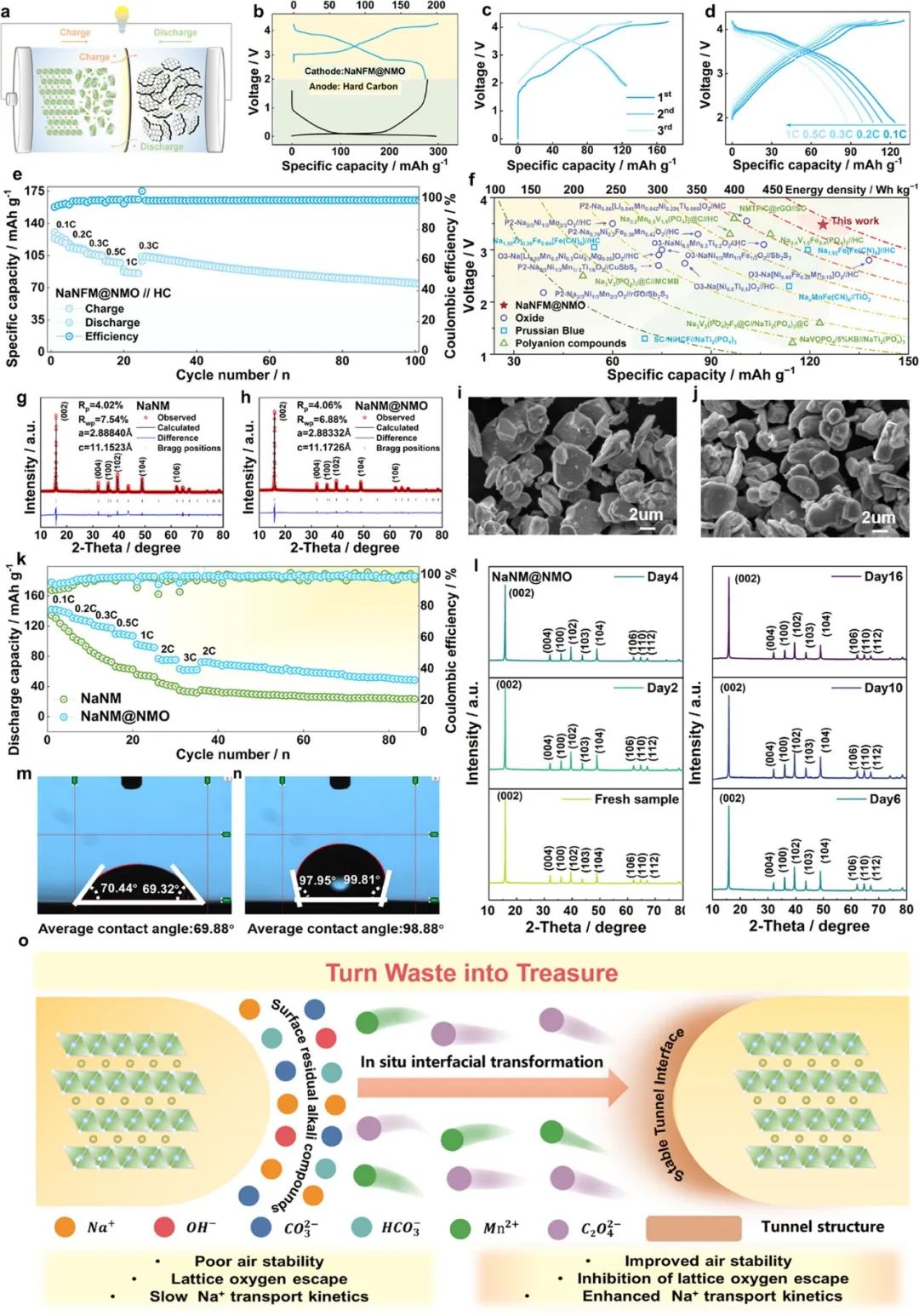 硕士生一作！温大侴术雷教授团队，最新JACS！